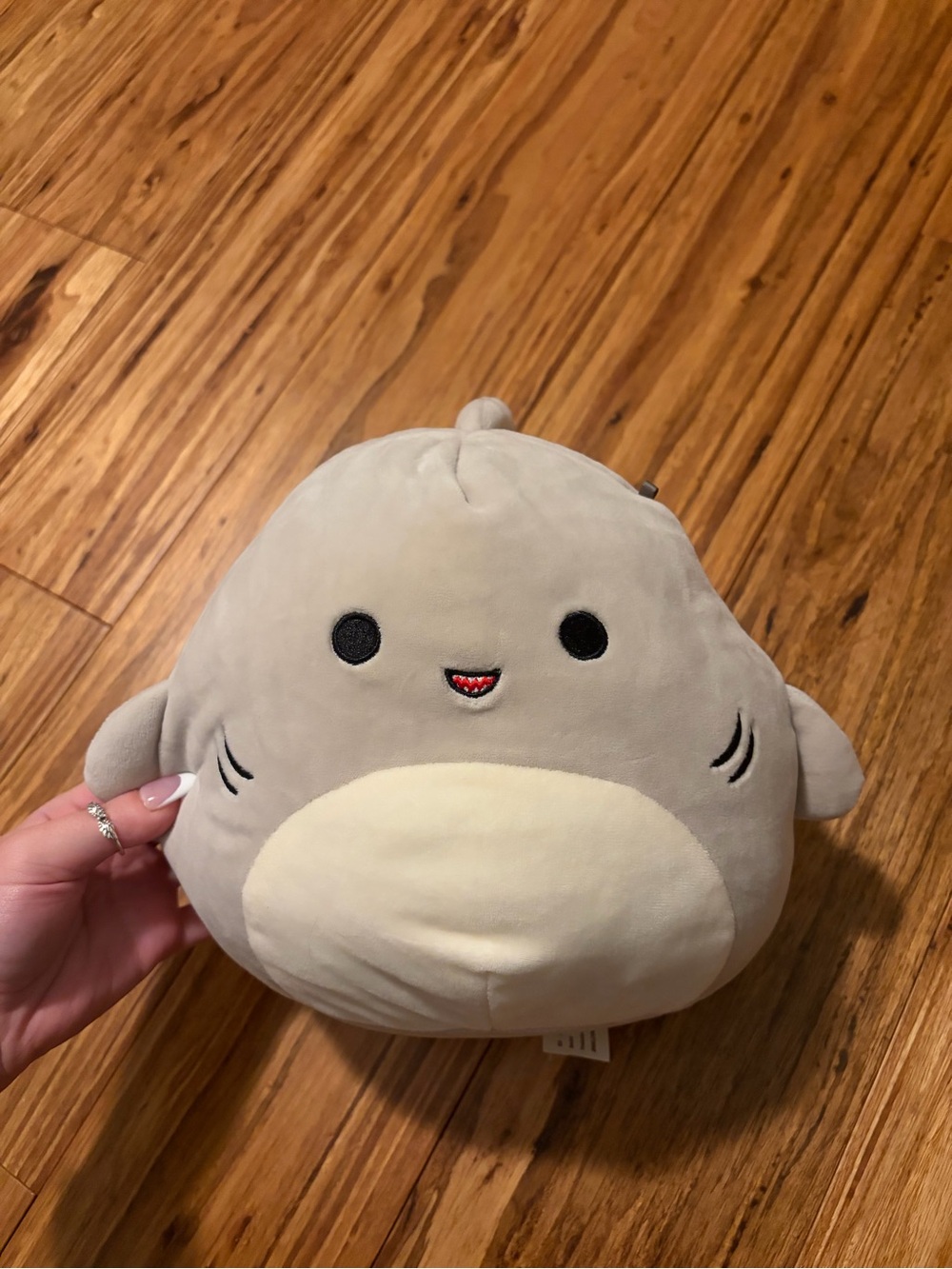 Gordon the Shark Original Squishmallow Sea Life Plush Stuffed Animal Cuddly Toy